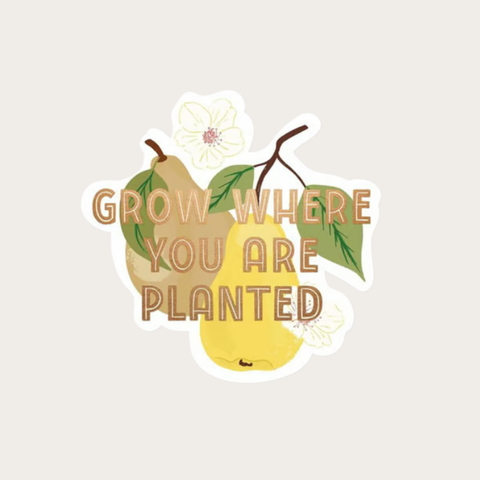 Paper Farm Press Sticker - Grow where you are Planted Pear